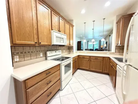 2316 Palm Tree Drive Kissimmee FL 34759