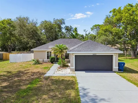 6163 Piedmont Drive Spring Hill FL 34606