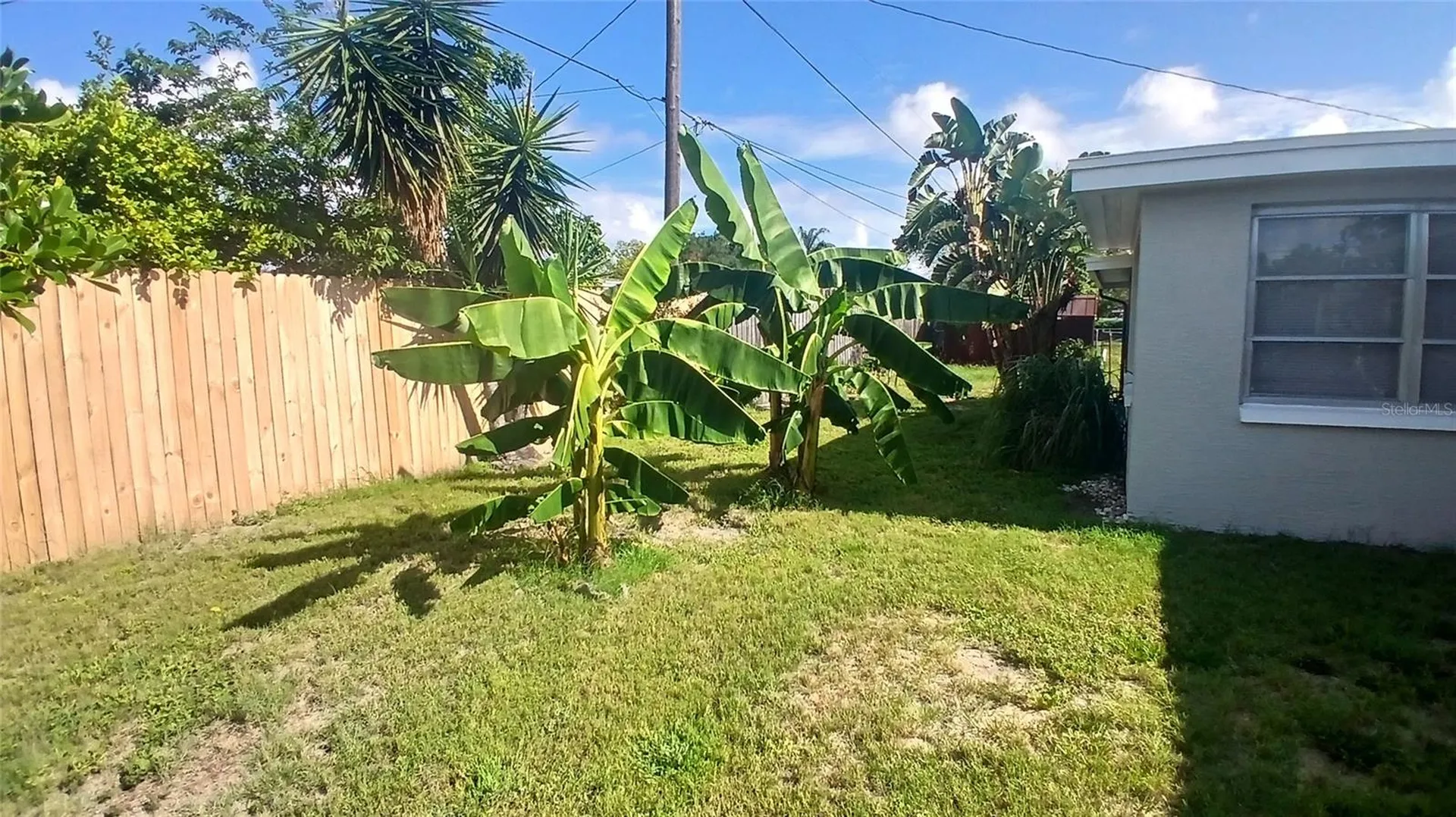 2109 Shannon Drive Holiday FL 34690