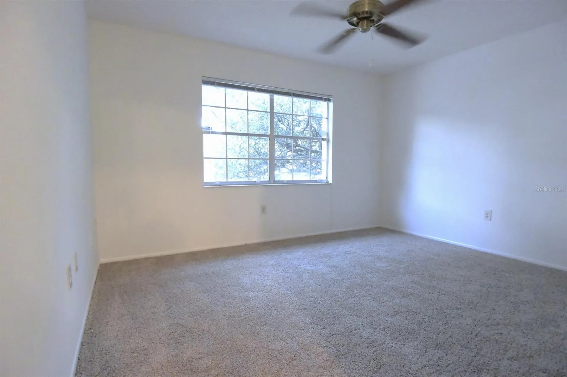 4707 Wallingford Court New Port Richey FL 34655