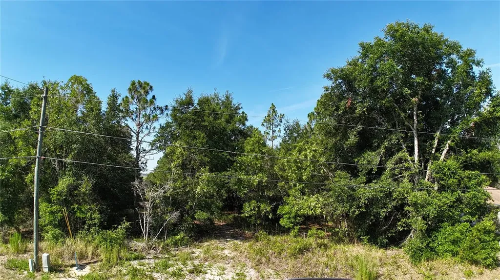 Bahia Court Track Ocala FL 34472