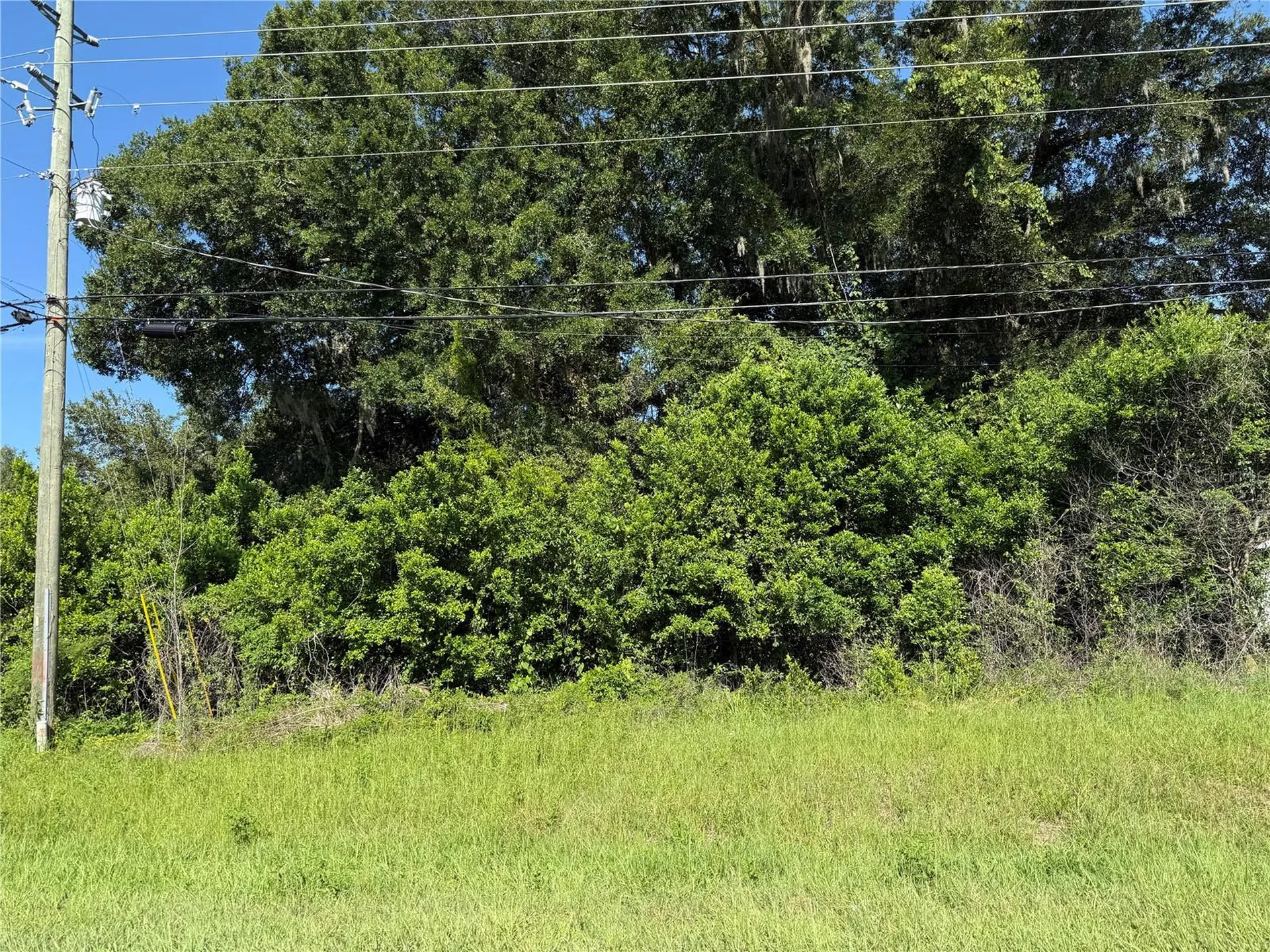 Bahia Court Track Ocala FL 34472