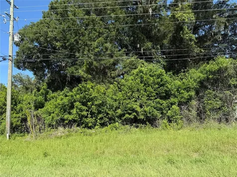Bahia Court Track Ocala FL 34472