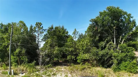 Bahia Court Track Ocala FL 34472