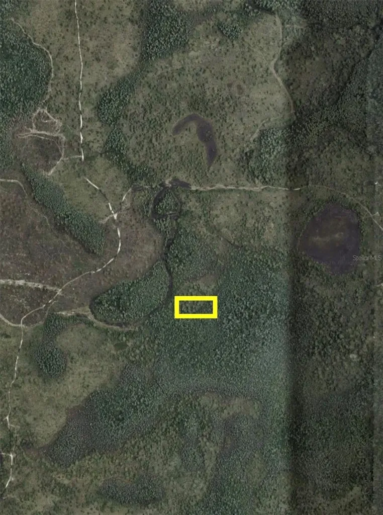 Dill Road Orlando FL 32820