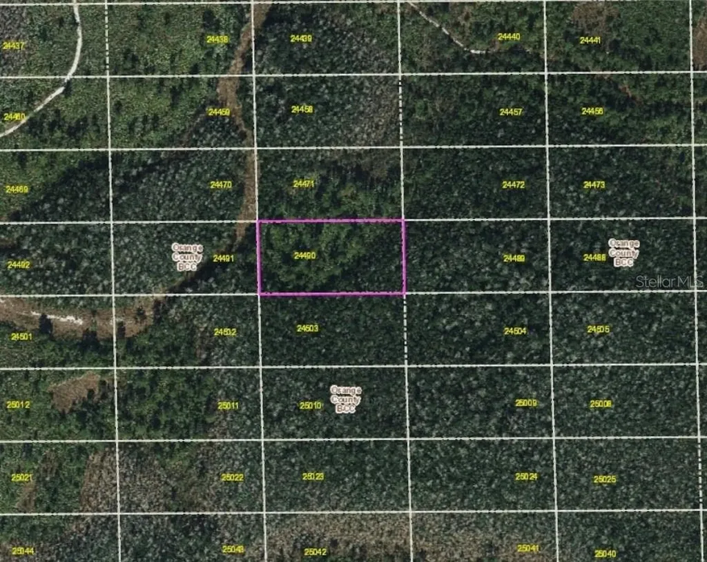 Dill Road Orlando FL 32820