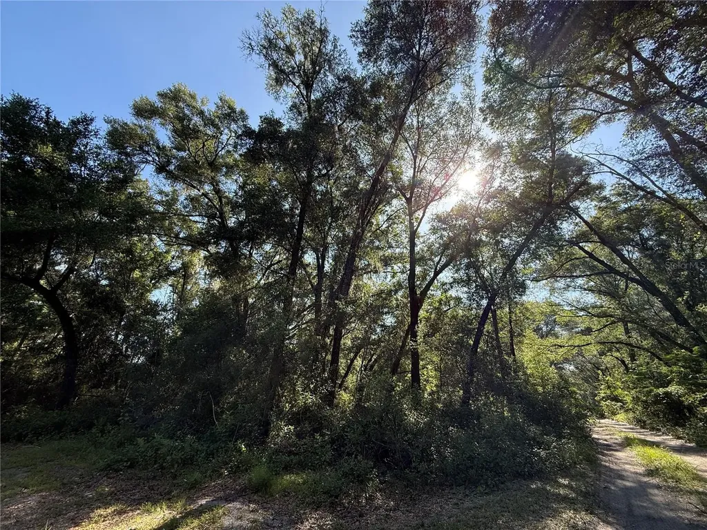 Xx SE 35th Court Summerfield FL 34491