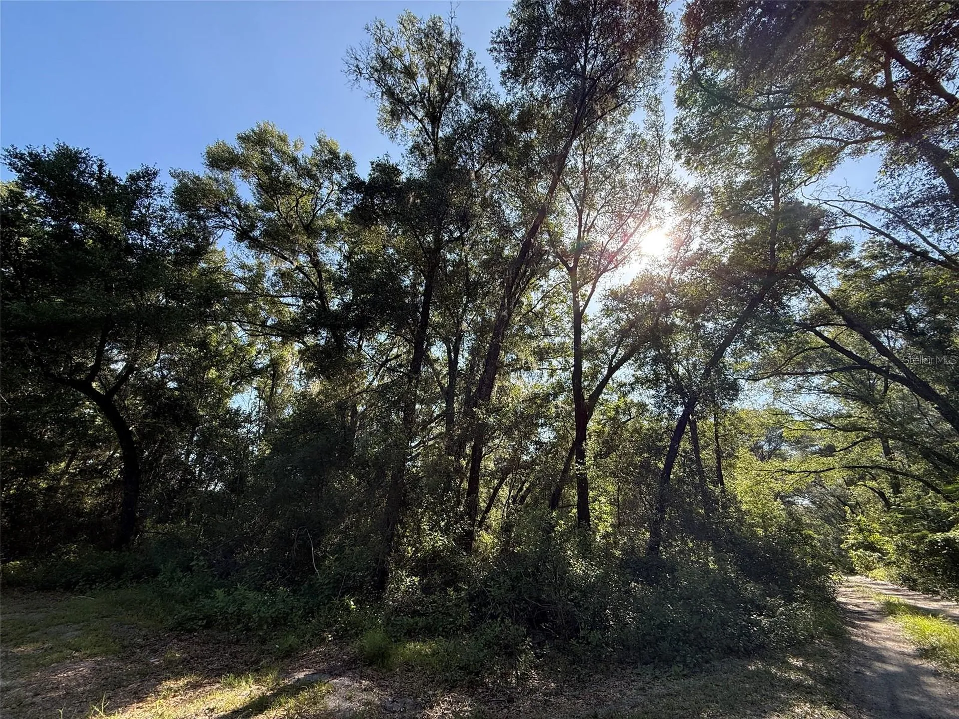 Xx SE 35th Court Summerfield FL 34491