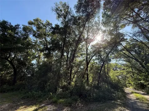 Xx SE 35th Court Summerfield FL 34491
