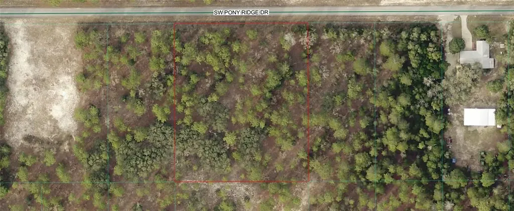 10.11 SW Pony Ridge Drive SW Dunnellon FL 34431