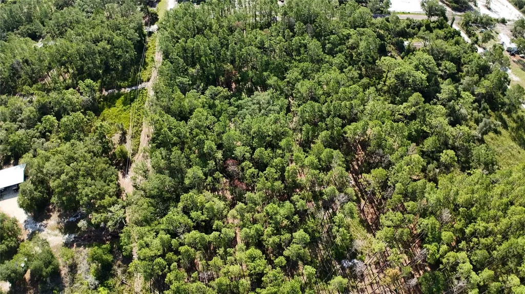 Xx SW 156th Place Dunnellon FL 34432