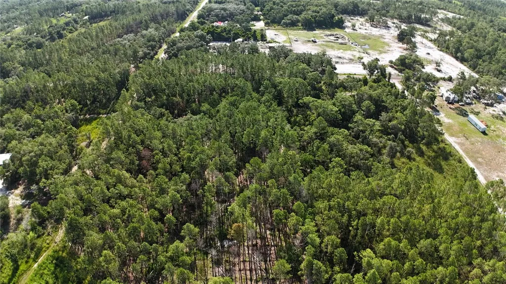 Xx SW 156th Place Dunnellon FL 34432