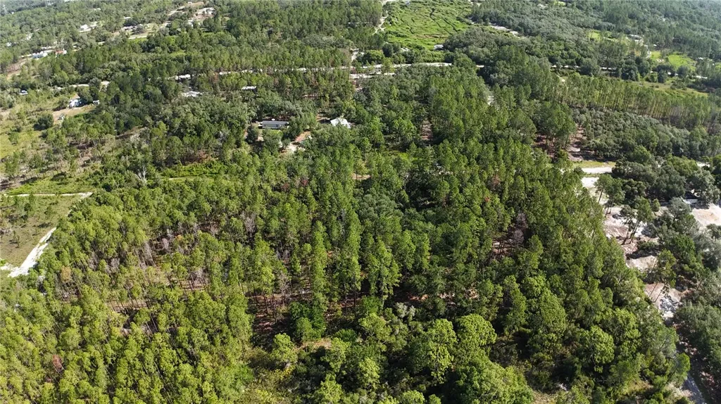Xx SW 156th Place Dunnellon FL 34432