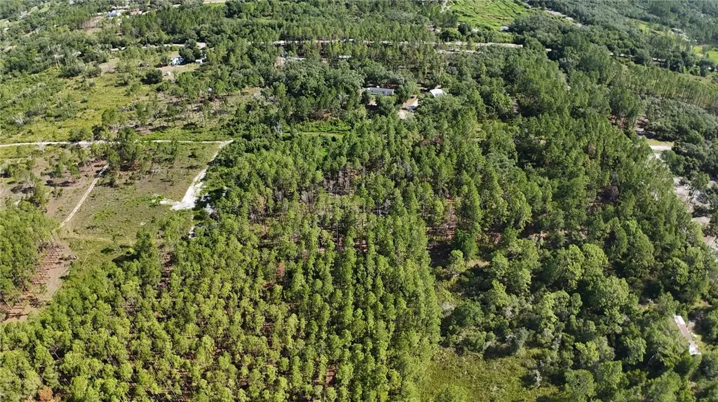 Xx SW 156th Place Dunnellon FL 34432