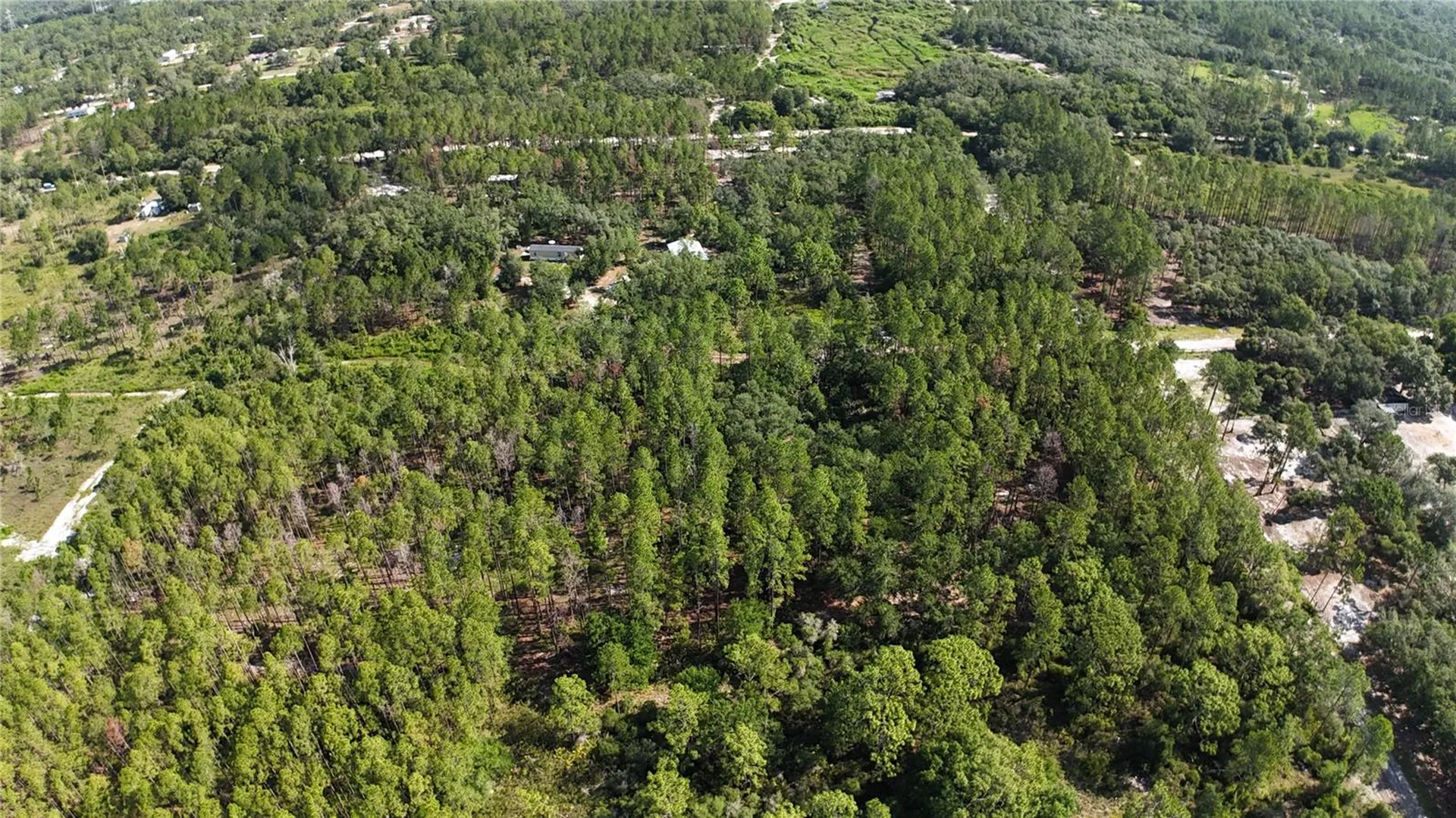 Xx SW 156th Place Dunnellon FL 34432