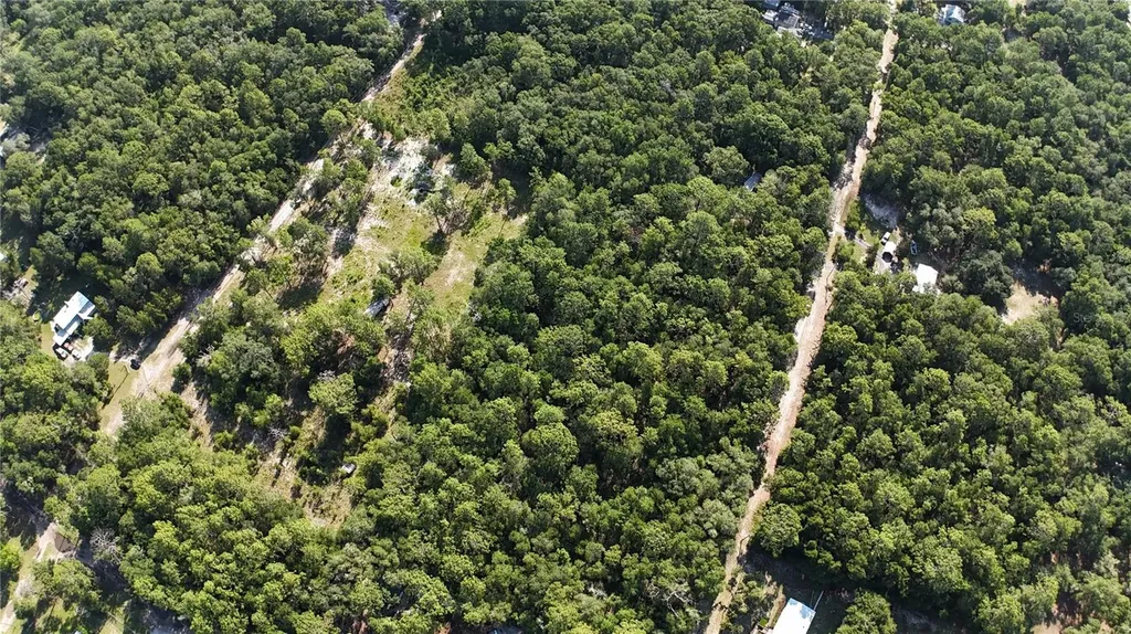 SW 153rd Lane Dunnellon FL 34432