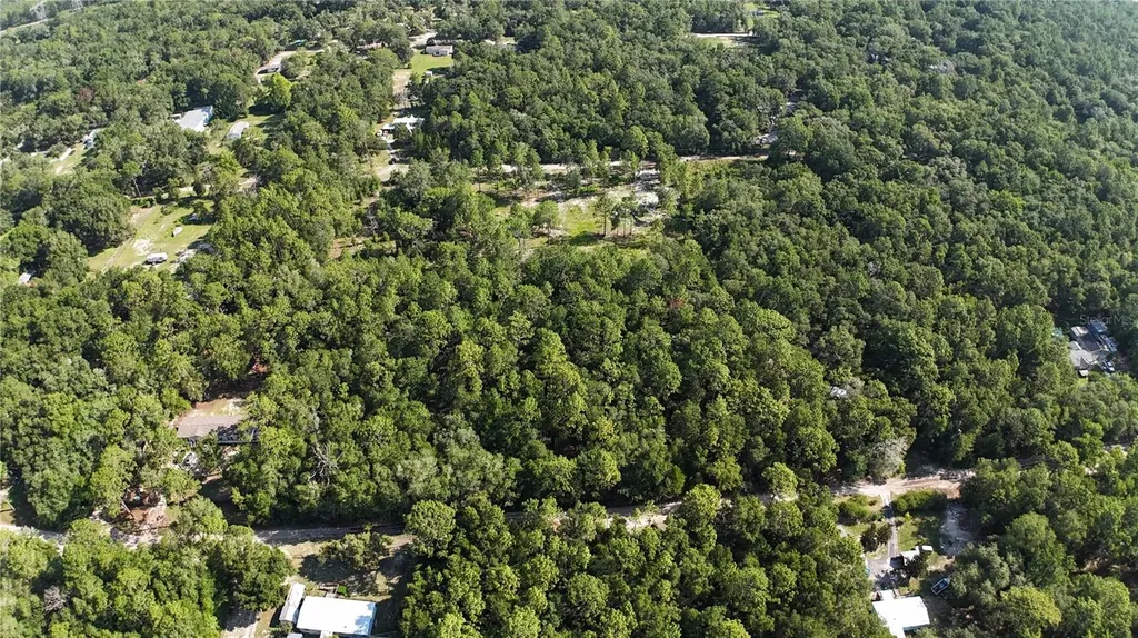 SW 153rd Lane Dunnellon FL 34432