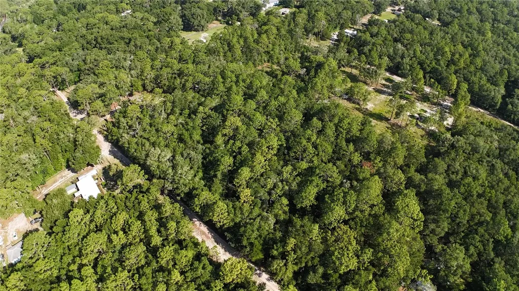 SW 153rd Lane Dunnellon FL 34432