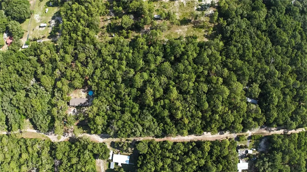 SW 153rd Lane Dunnellon FL 34432
