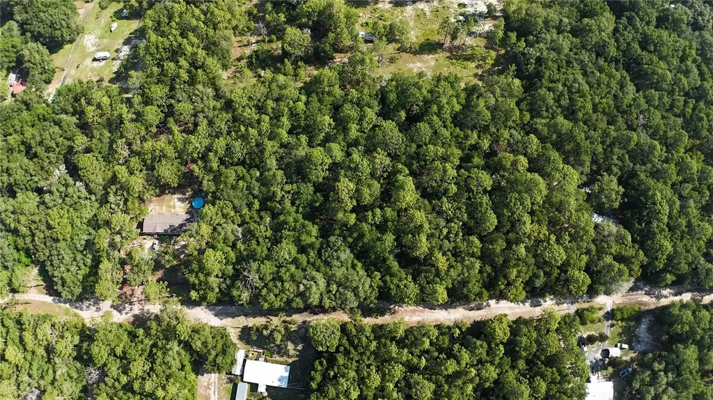 SW 153rd Lane Dunnellon FL 34432