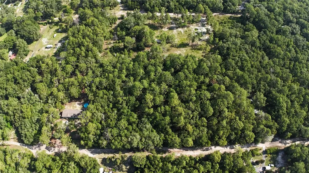 SW 153rd Lane Dunnellon FL 34432