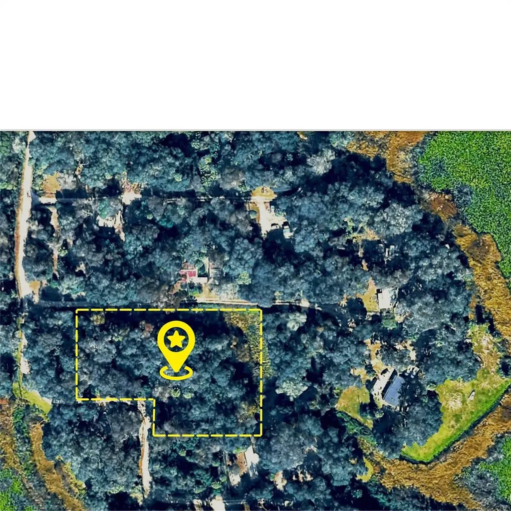 X NE 31st Terrace Citra FL 32113