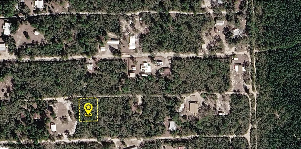 X NE 234th Lane Fort Mc Coy FL 32134