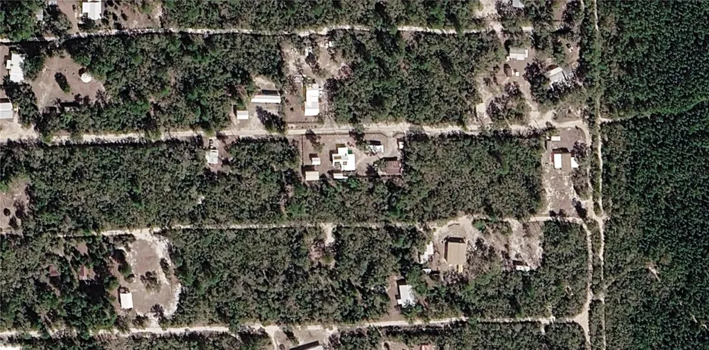 X NE 234th Lane Fort Mc Coy FL 32134