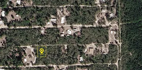 X NE 234th Lane Fort Mc Coy FL 32134