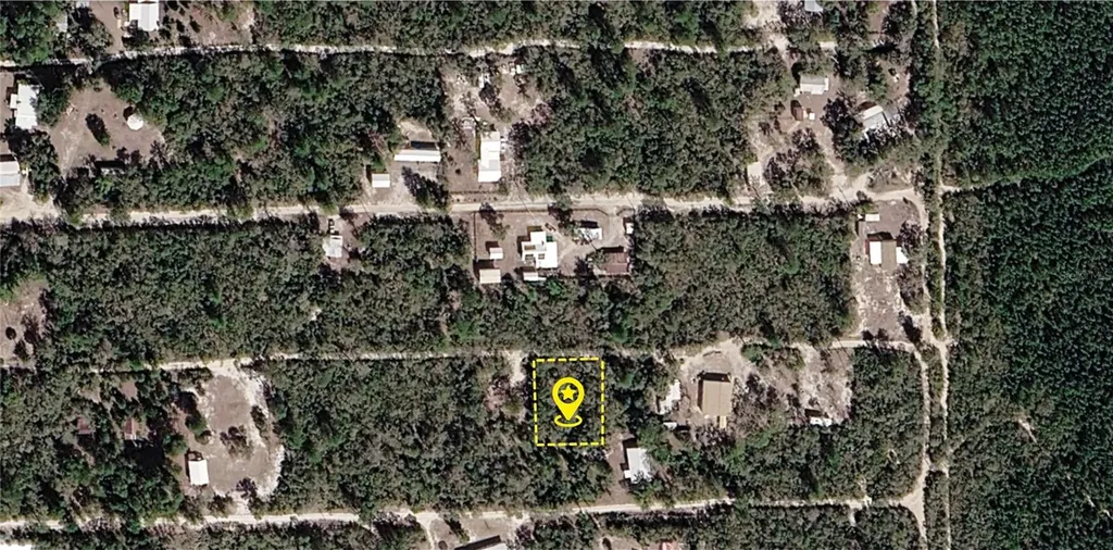 Xx NE 234th Lane Fort Mc Coy FL 32134