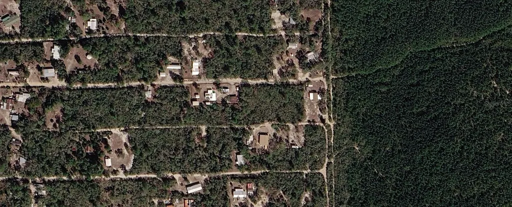 Xx NE 234th Lane Fort Mc Coy FL 32134
