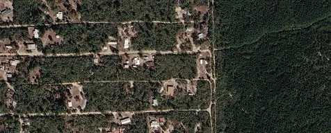 Xx NE 234th Lane Fort Mc Coy FL 32134