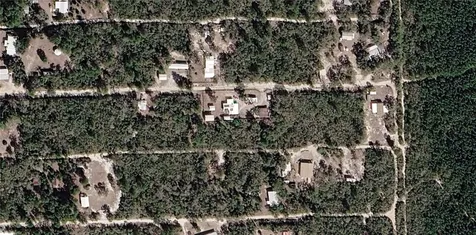 Xxx NE 234th Lane Fort Mc Coy FL 32134