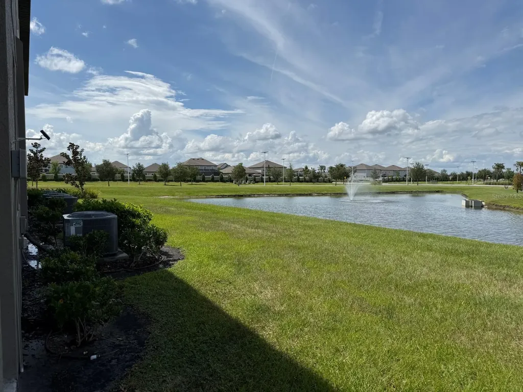 31881 Blue Passing Loop Wesley Chapel FL 33545