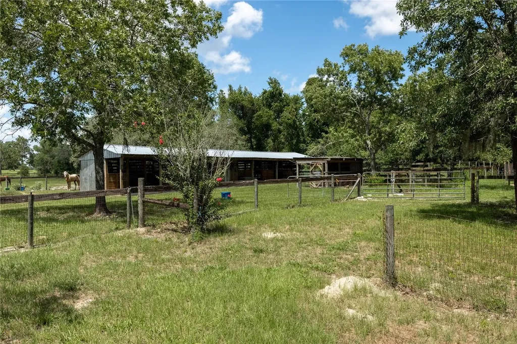 11751 SE 16th Lane Morriston FL 32668