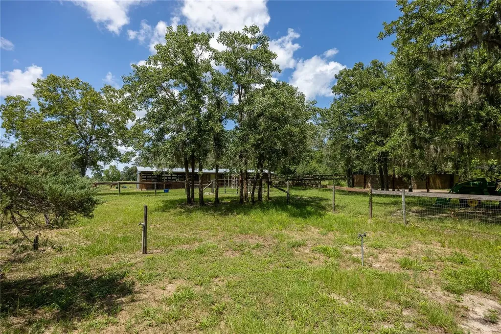 11751 SE 16th Lane Morriston FL 32668