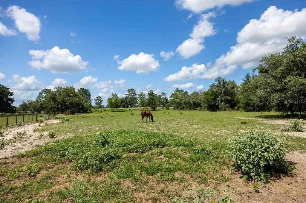 11751 SE 16th Lane Morriston FL 32668