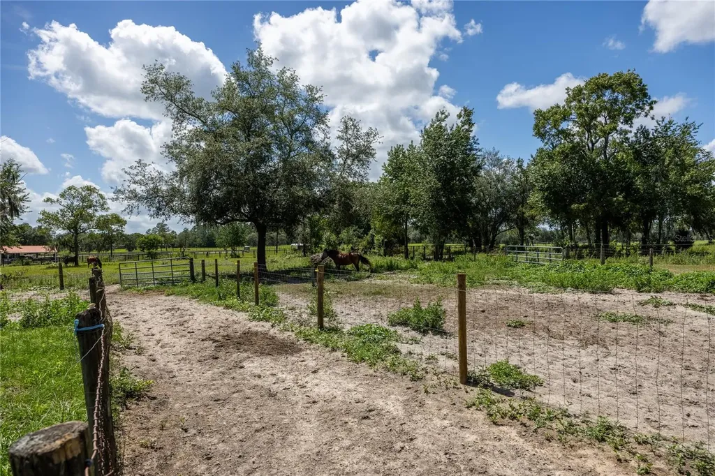 11751 SE 16th Lane Morriston FL 32668
