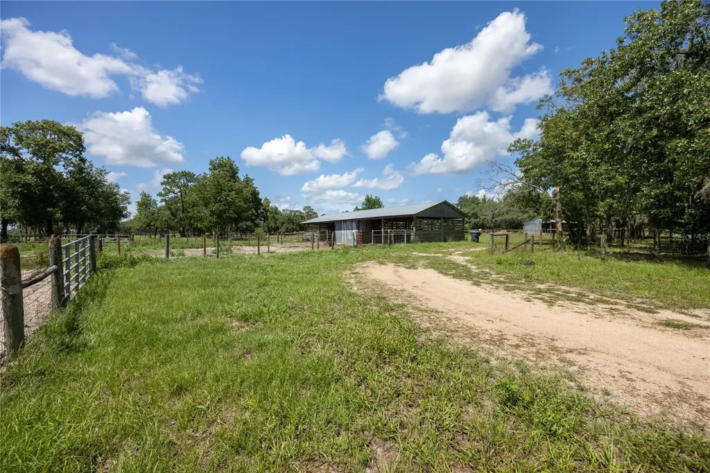 11751 SE 16th Lane Morriston FL 32668