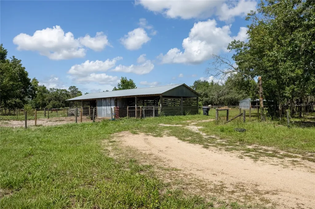 11751 SE 16th Lane Morriston FL 32668