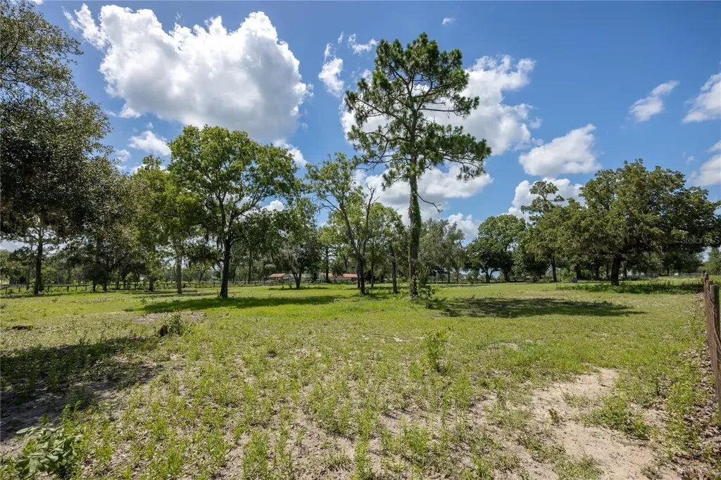 11751 SE 16th Lane Morriston FL 32668