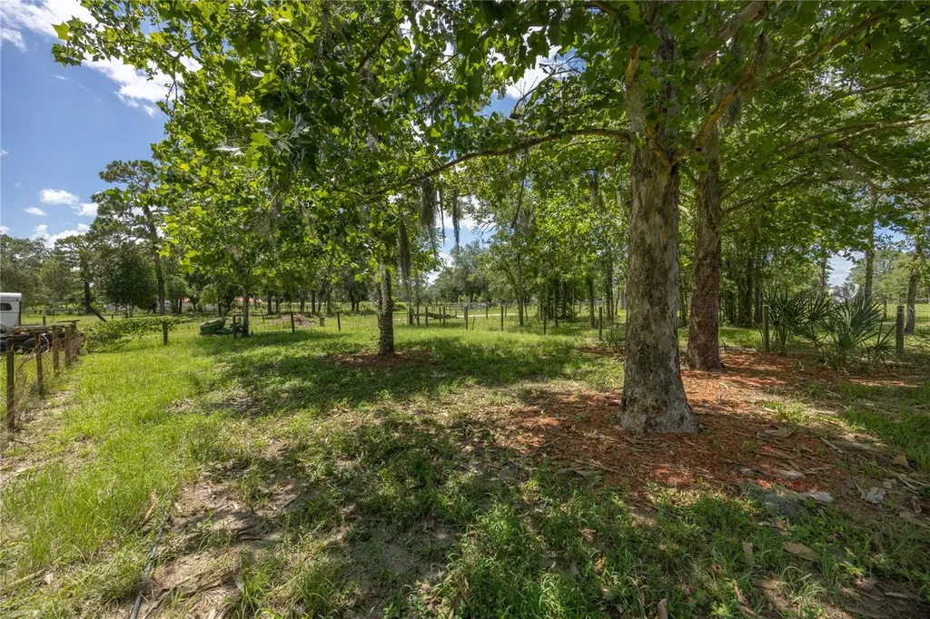 11751 SE 16th Lane Morriston FL 32668