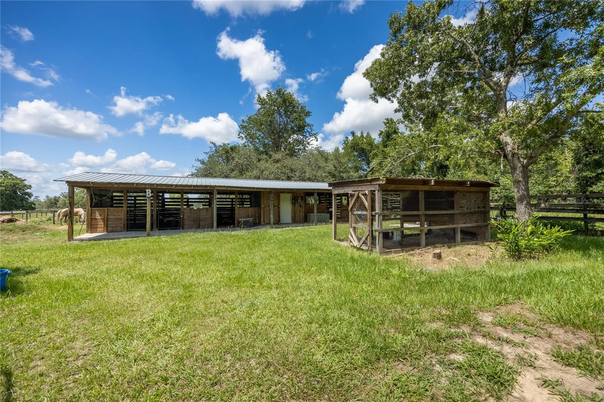 11751 SE 16th Lane Morriston FL 32668