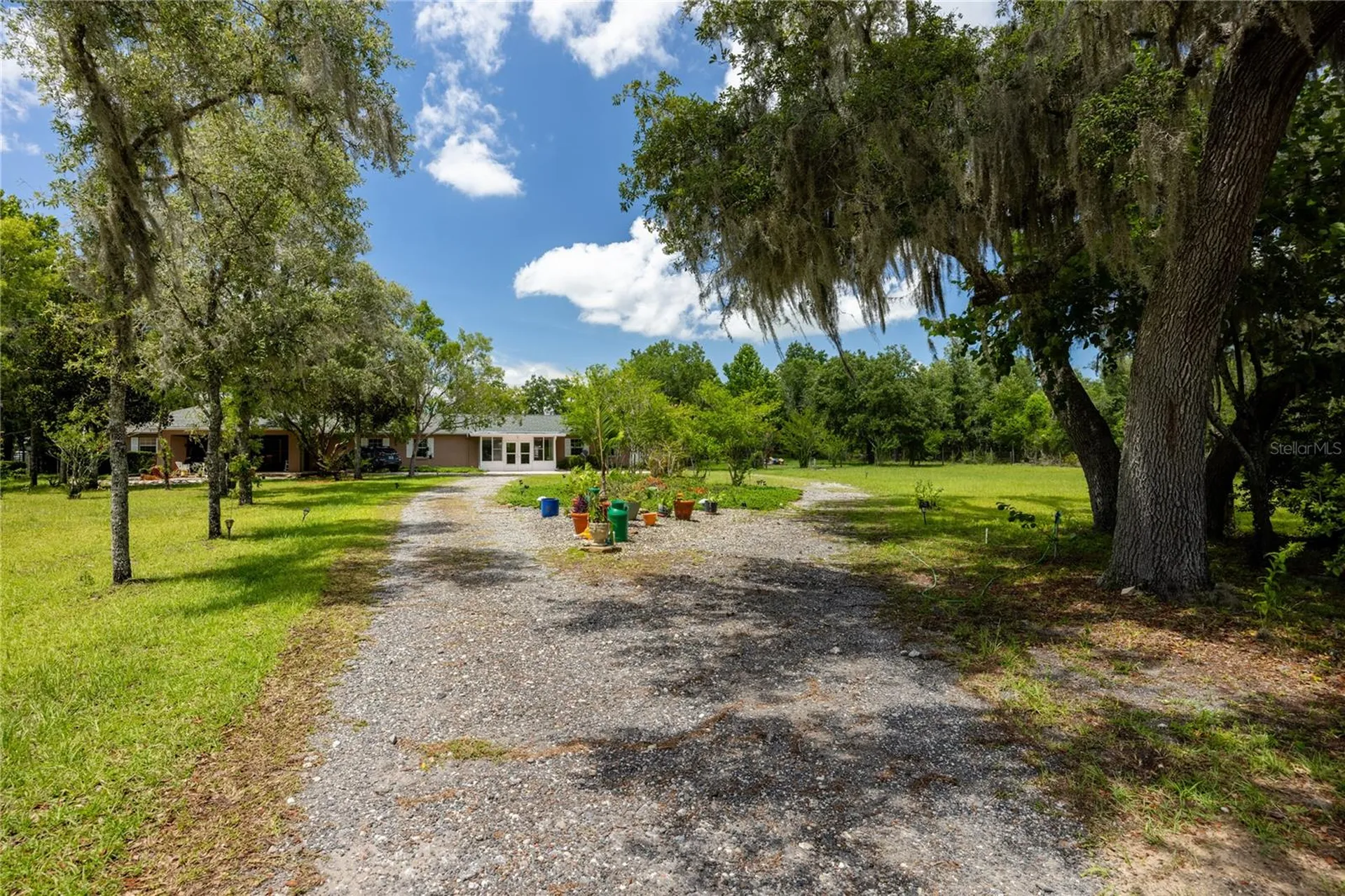 11751 SE 16th Lane Morriston FL 32668