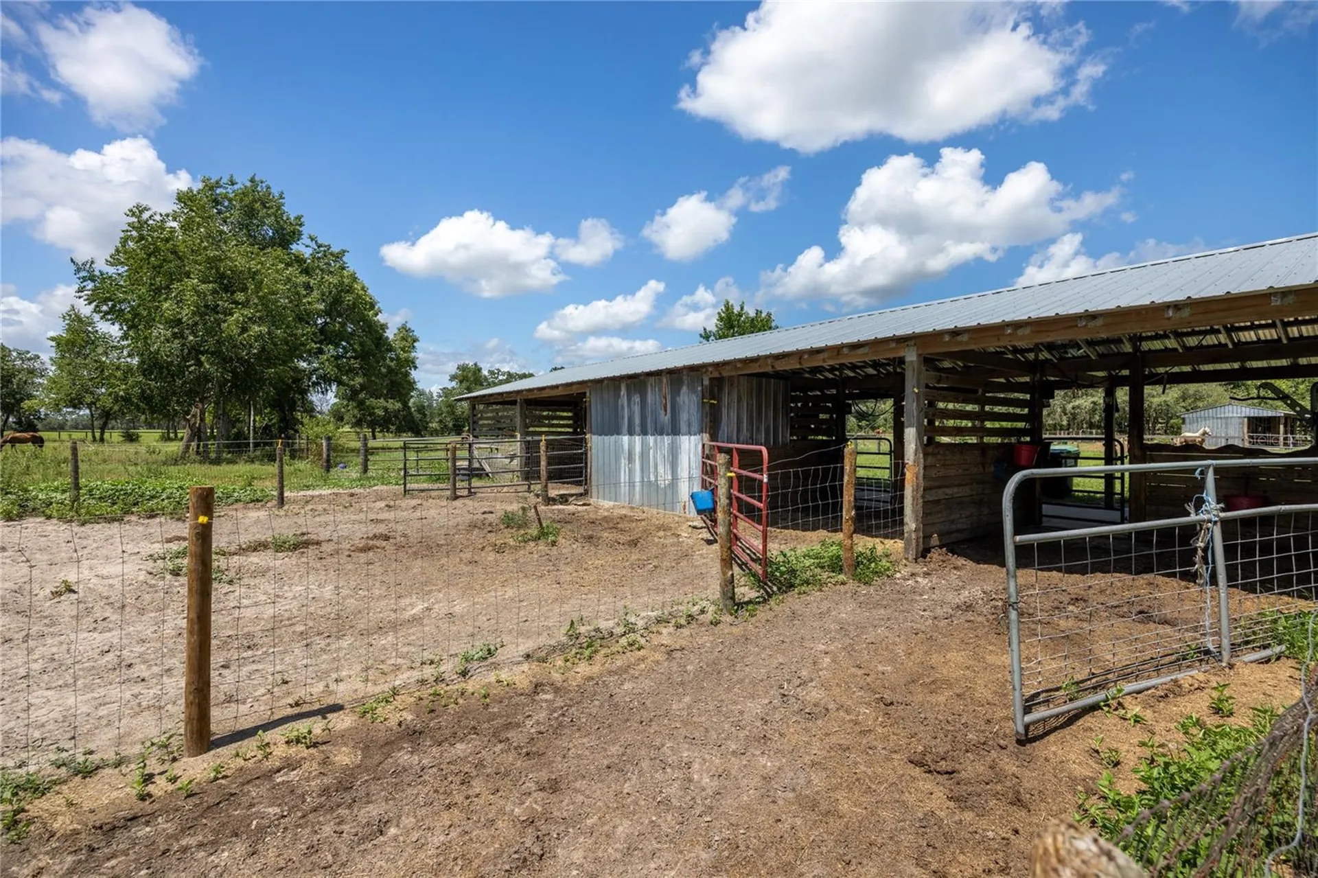 11751 SE 16th Lane Morriston FL 32668