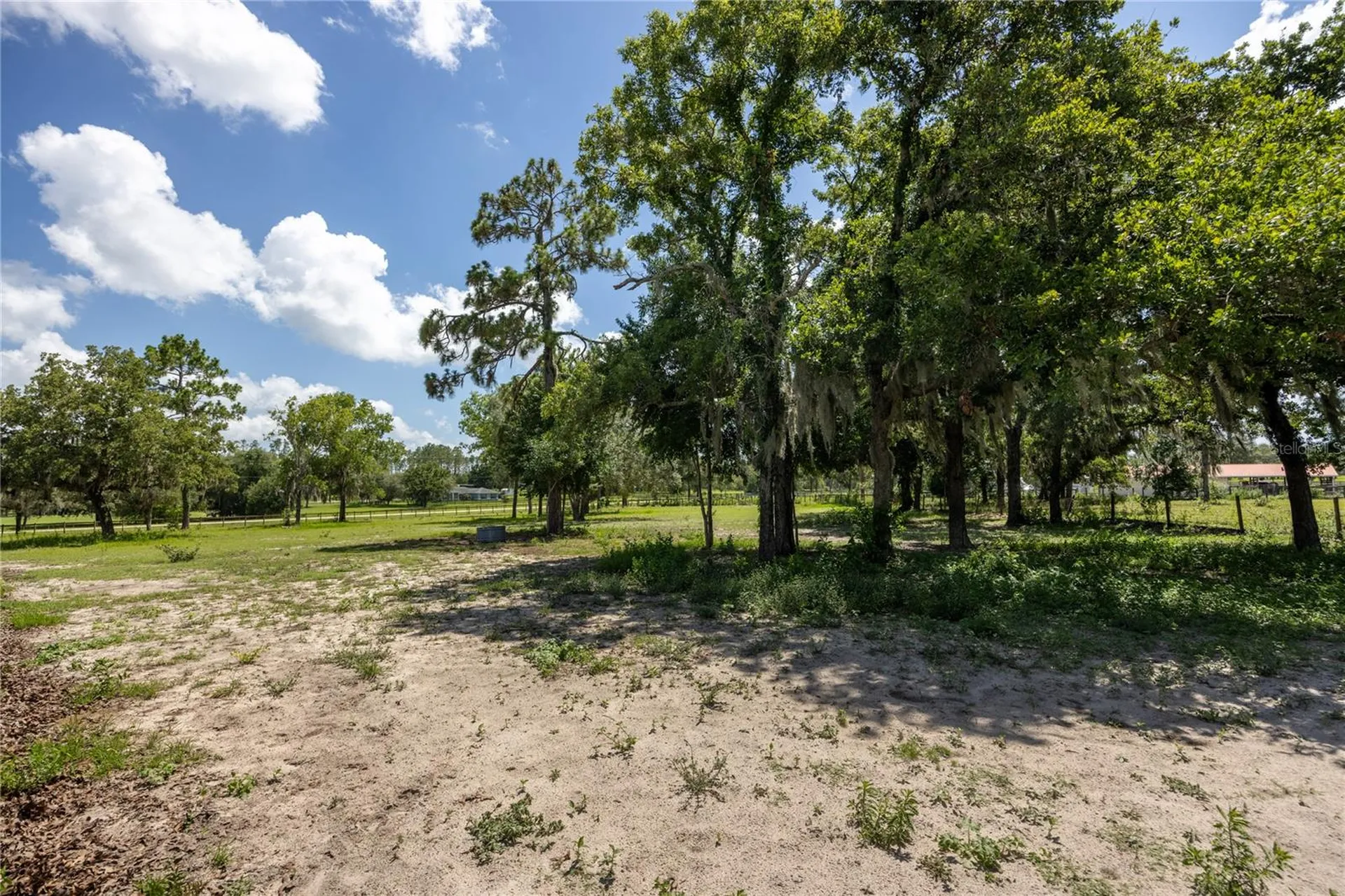 11751 SE 16th Lane Morriston FL 32668