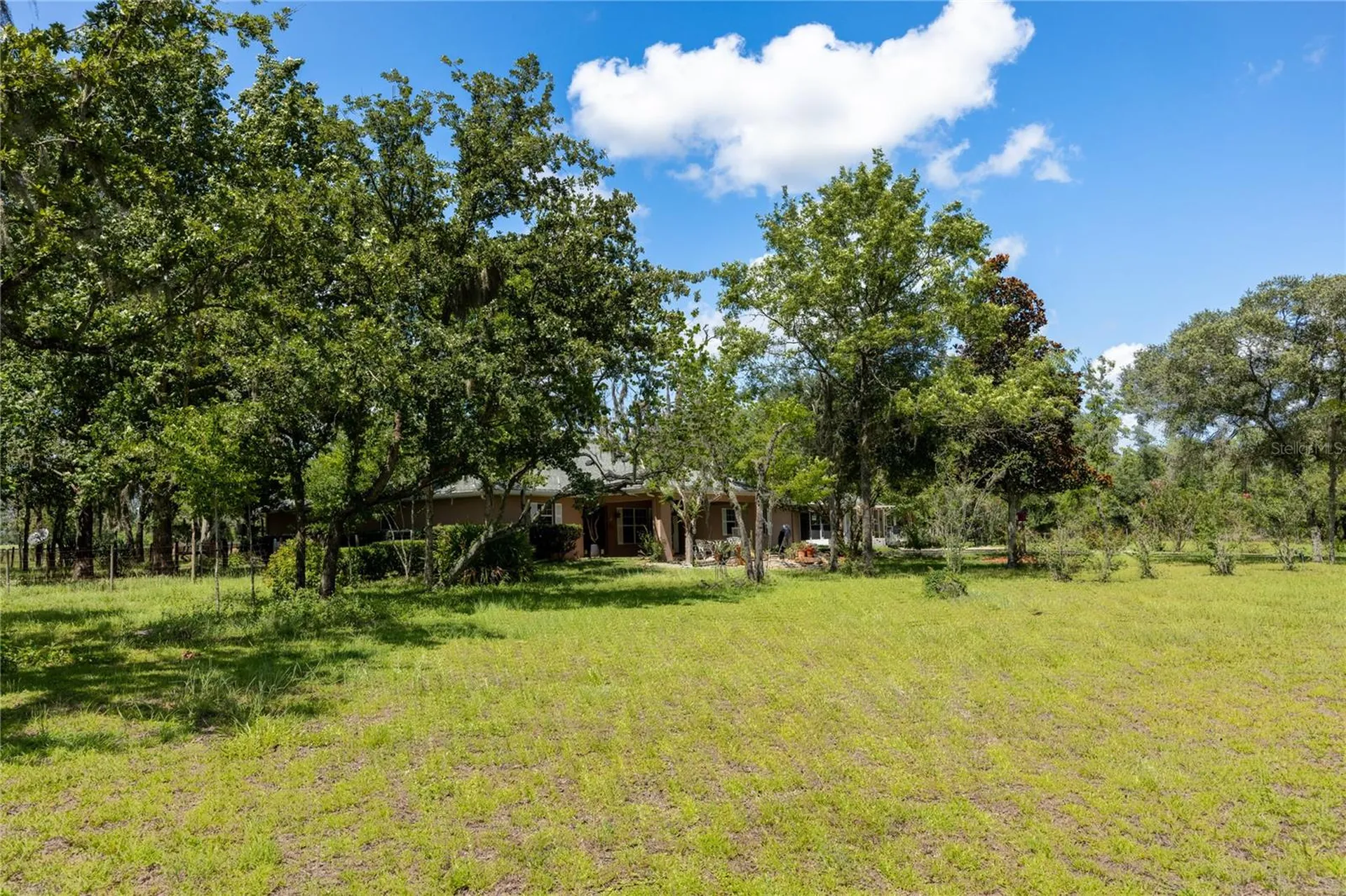 11751 SE 16th Lane Morriston FL 32668