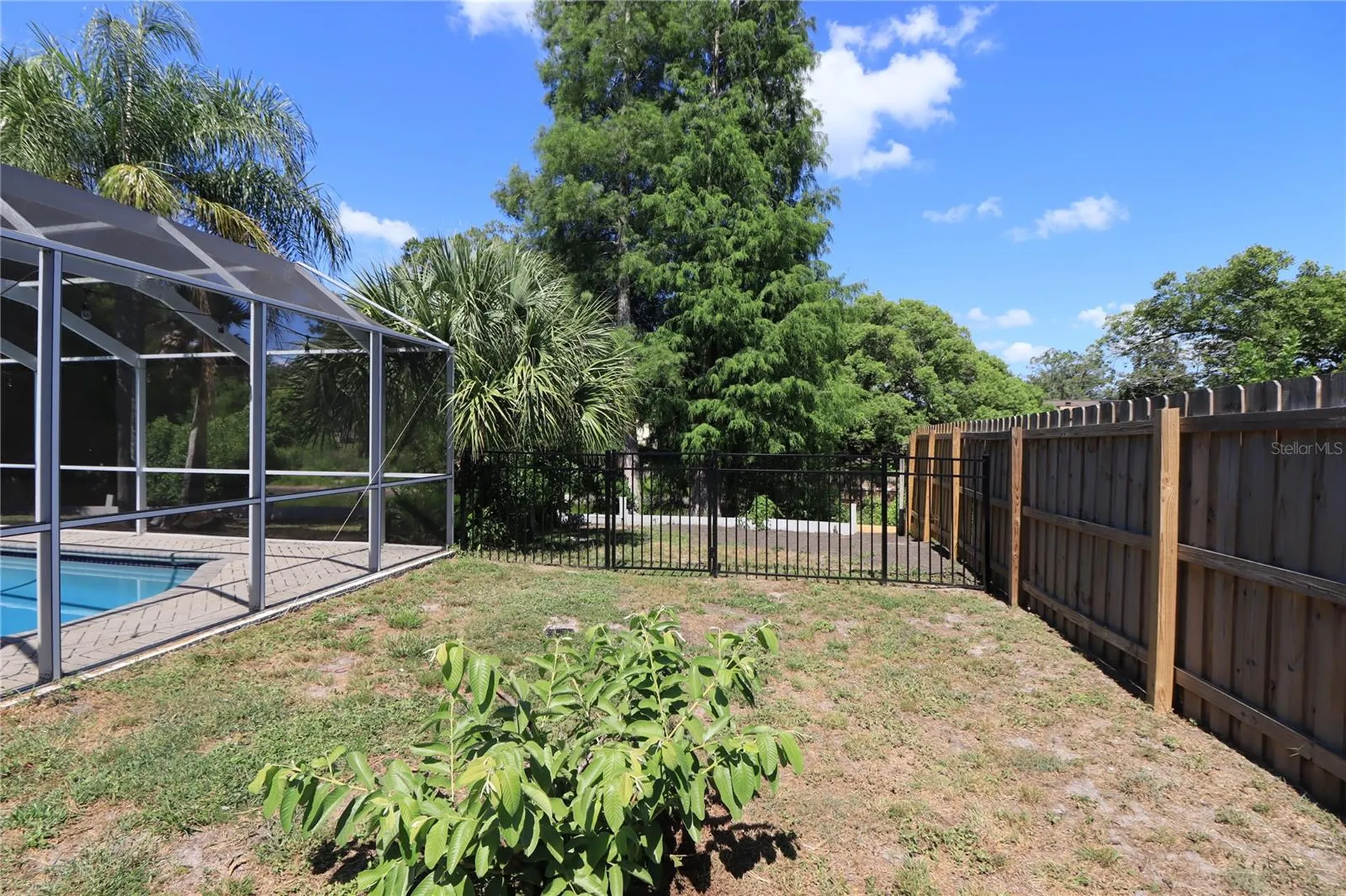 17815 Sunrise Drive Lutz FL 33549