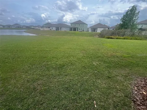 11232 Cay Spruce Way San Antonio FL 33576