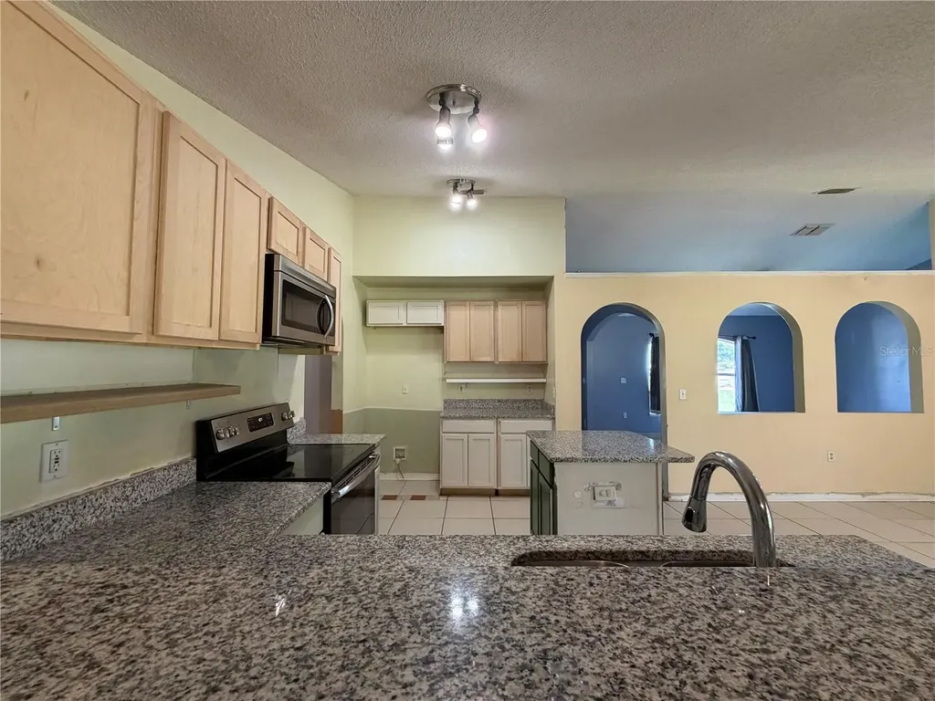 1011 Eiffel Lane Kissimmee FL 34759
